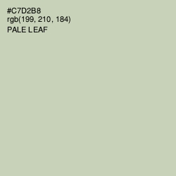 #C7D2B8 - Pale Leaf Color Image